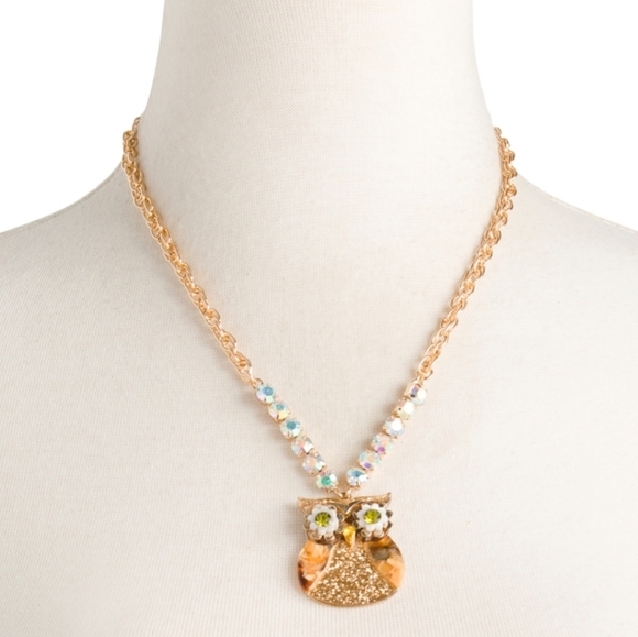 Betsey Johnson Jewelry - Betsey Johnson Owl Necklace